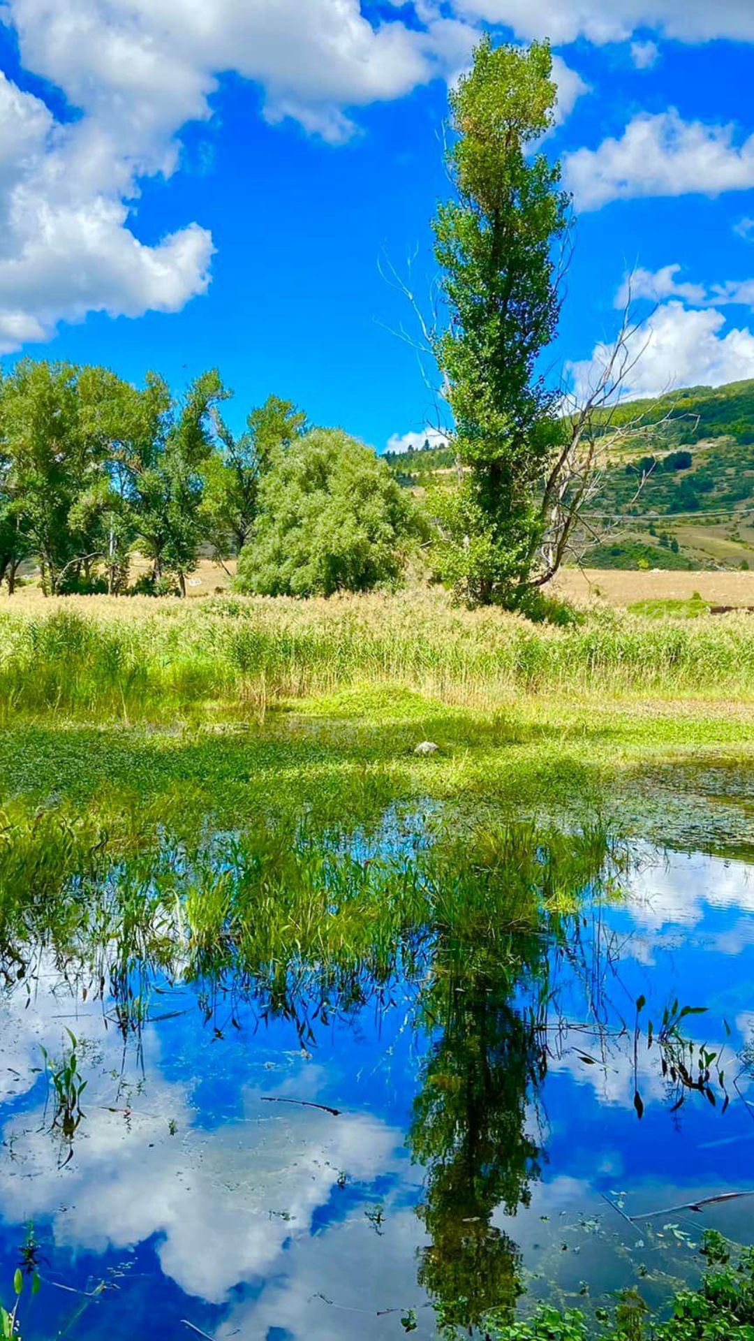 Oasi del Ticino